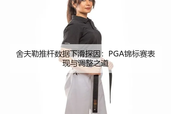 she-fu-lei-tui-gan-shu-ju-xia-hua-tan-yin-jin-biao-sai-biao-xian-yu-tiao-zheng-zhi-dao-2-481.jpg
